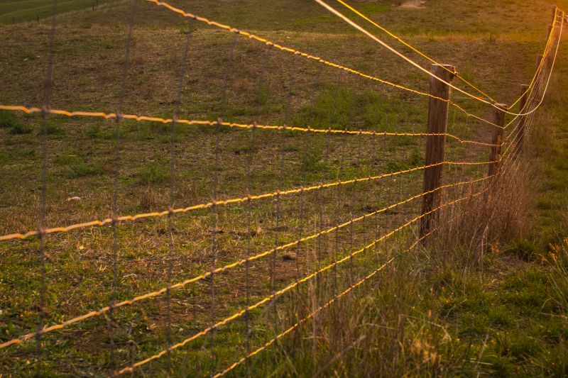 Farm Fencing Service